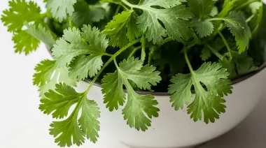 garnishing-instructions-image